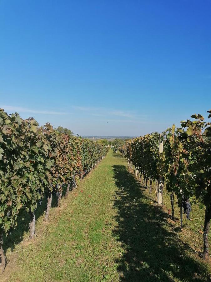 Baranja Black Hill'S Gajic Exterior photo